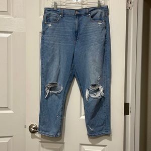 American Eagle Mom Jean 14X-Short